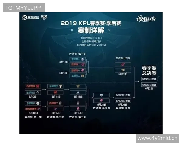 王者荣耀专题深入分析RNG战队的比赛经验与策略分享